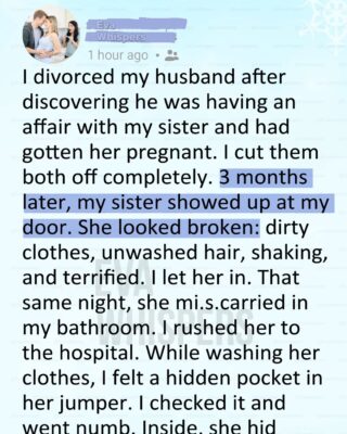 I Hated My Sister for Destroying My Marriage… Until the Night She Lost the Baby